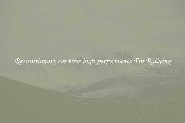 Revolutionary car tires high performance For Rallying