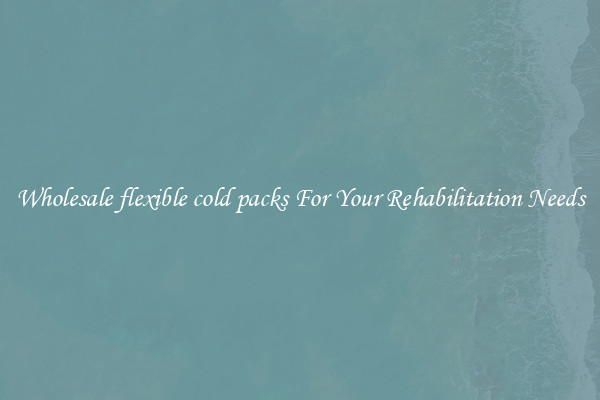 Wholesale flexible cold packs For Your Rehabilitation Needs