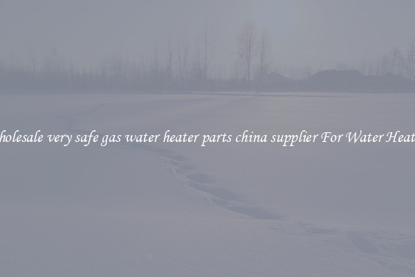 Wholesale very safe gas water heater parts china supplier For Water Heating