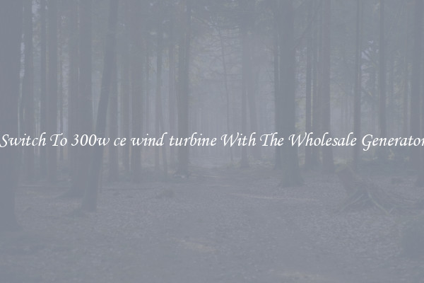 Switch To 300w ce wind turbine With The Wholesale Generator