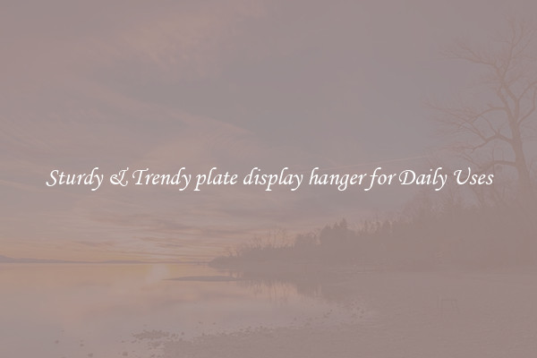 Sturdy & Trendy plate display hanger for Daily Uses