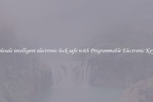 Wholesale intelligent electronic lock safe with Programmable Electronic Keypad 