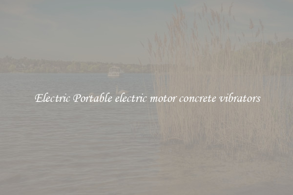 Electric Portable electric motor concrete vibrators