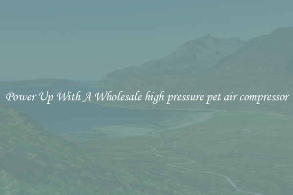 Power Up With A Wholesale high pressure pet air compressor