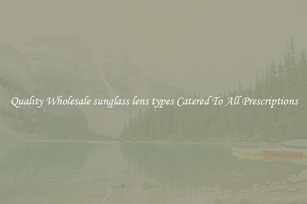 Quality Wholesale sunglass lens types Catered To All Prescriptions