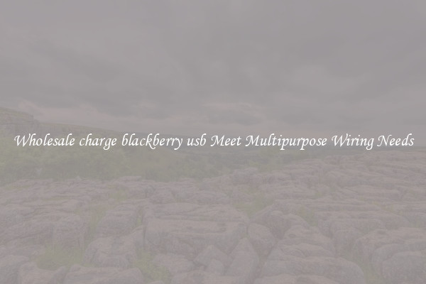 Wholesale charge blackberry usb Meet Multipurpose Wiring Needs