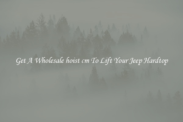 Get A Wholesale hoist cm To Lift Your Jeep Hardtop