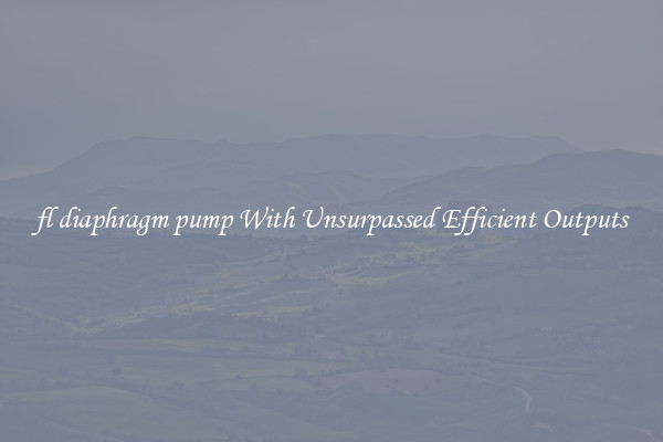 fl diaphragm pump With Unsurpassed Efficient Outputs