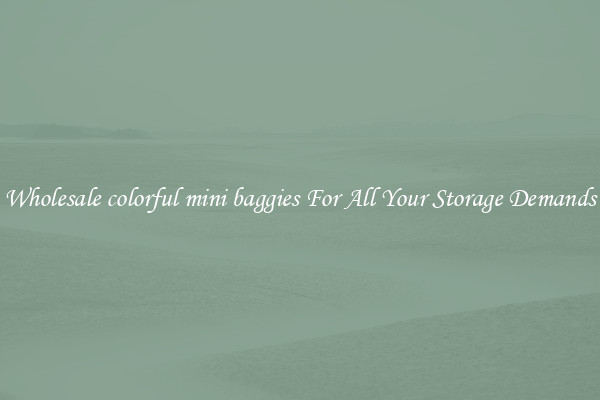 Wholesale colorful mini baggies For All Your Storage Demands