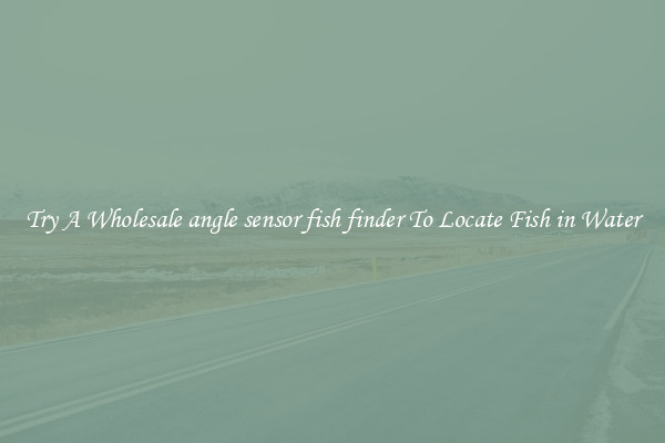 Try A Wholesale angle sensor fish finder To Locate Fish in Water