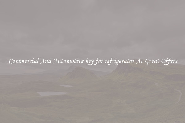 Commercial And Automotive key for refrigerator At Great Offers