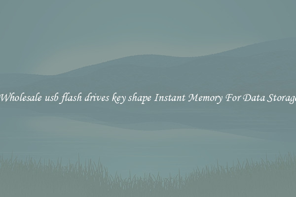 Wholesale usb flash drives key shape Instant Memory For Data Storage