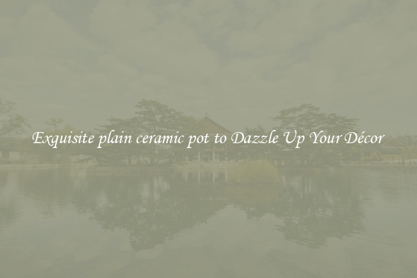 Exquisite plain ceramic pot to Dazzle Up Your Décor 