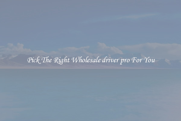 Pick The Right Wholesale driver pro For You