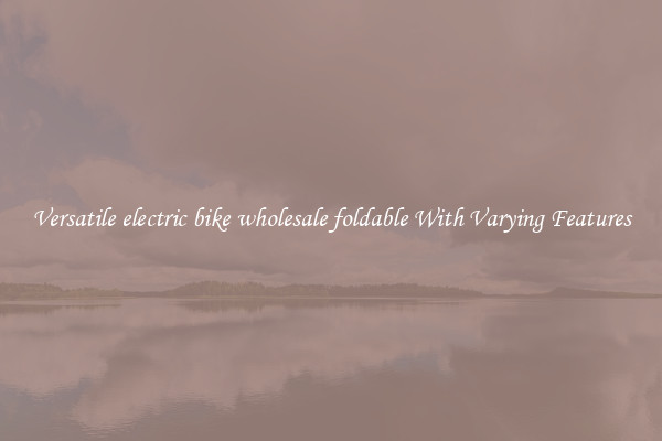 Versatile electric bike wholesale foldable With Varying Features