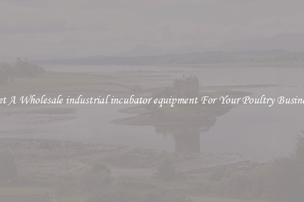 Get A Wholesale industrial incubator equipment For Your Poultry Business