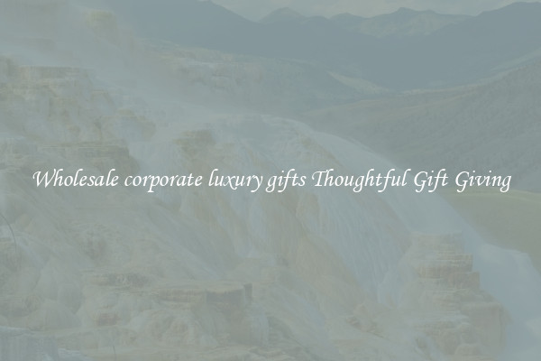 Wholesale corporate luxury gifts Thoughtful Gift Giving