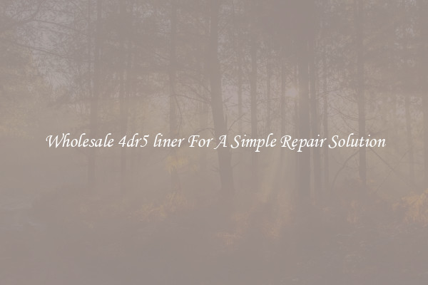 Wholesale 4dr5 liner For A Simple Repair Solution
