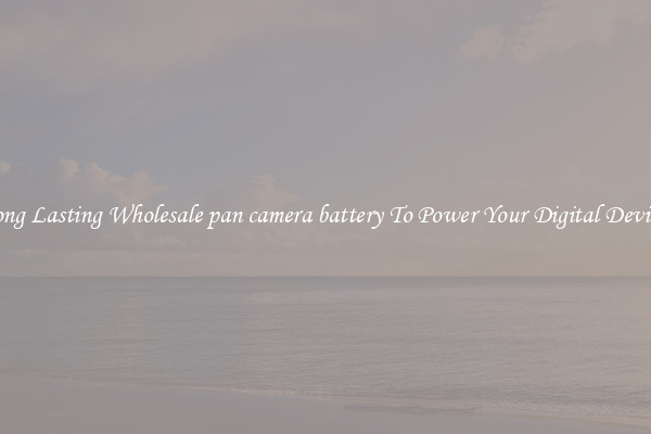 Long Lasting Wholesale pan camera battery To Power Your Digital Devices