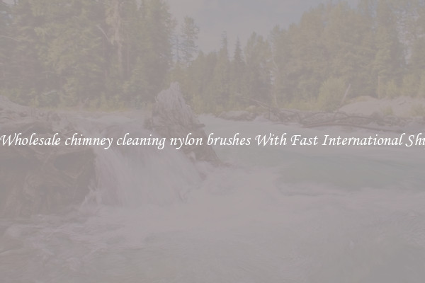 Nice Wholesale chimney cleaning nylon brushes With Fast International Shipping