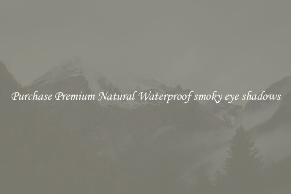 Purchase Premium Natural Waterproof smoky eye shadows
